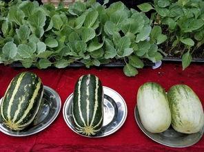 娱乐吃瓜甜,揭秘明星们的甜蜜生活