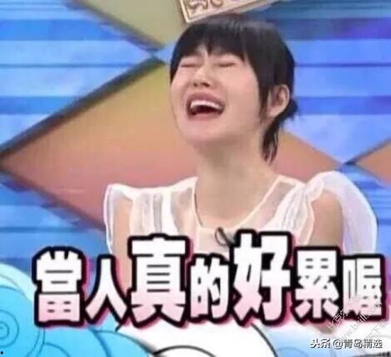 娱乐圈吃瓜预告在哪看啊