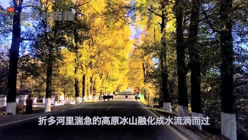 娱乐吃瓜君地址