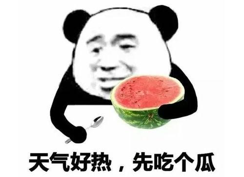 吃瓜的表情啥意思